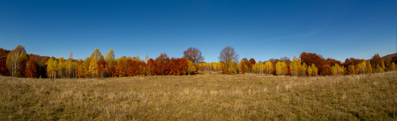 Transilvania  panorama landscape
