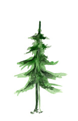 Watercolor drawing of a Christmas tree for design and decor isolated on white background