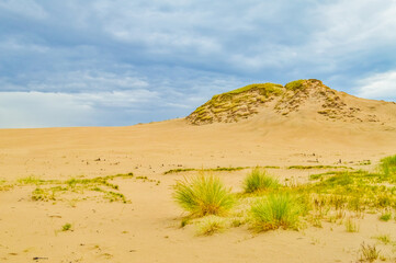 Dunes of Leba in the desert of Slowinski National Park, Poland