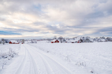 Snowy dirt road to a farm in a wintry countryside
