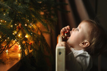 funny Christmas photo, funny kid pulls a Christmas tree toy into his mouth.