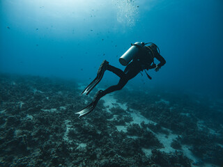 C:\DCIM\100GOPRO\GOPR0452.GPR