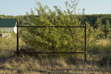 An old rusty metal frame structure in the middle of green bushes and sun-scorched yellow grass and anthills on a sunny summer day