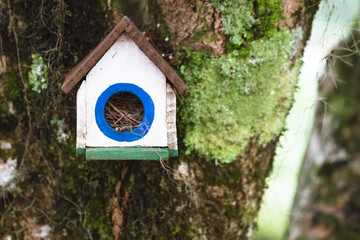 Birdhouse closeup on tree trunk.