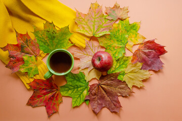Yellow knitted sweater and a cup of tea with an apple on colorful autumn maple leaves. Autumn cozy background flat lay