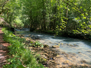 Curak stream near the Zeleni vir picnic area in Gorski kotar - Vrbovsko, Croatia (Potok Curak kod izletišta Zeleni vir u Gorskom kotaru - Vrbovsko, Hrvatska)