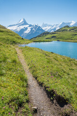 hiking path around lake Bachalpsee with view to Schreckhorn mountain, Bernese Alps switzerland