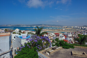 Fototapeta na wymiar The old medina and the port of Tangier, Morocco.