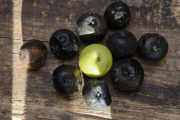 a green apple lies among the rotten apples on a wooden board. Concept - vaccination