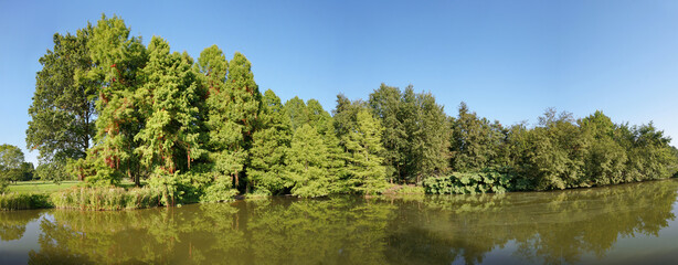 Fototapeta na wymiar Tree Panorama behind a Lake in a Park in Summer. Panorama