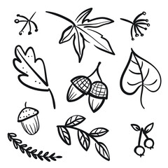 Hand drawn autumn doodle set isolated on white