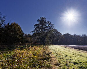 Parc de versailles