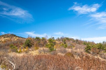 霧ヶ峰 秋の八島ヶ原湿原
