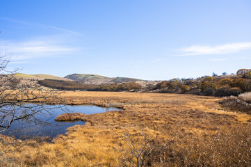 霧ヶ峰 秋の八島ヶ原湿原