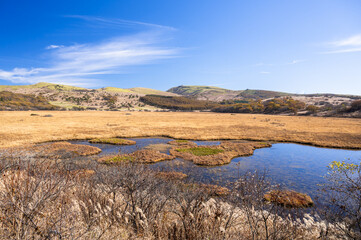 霧ヶ峰 秋の八島ヶ原湿原