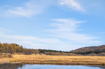 秋の霧ヶ峰高原　 八島ヶ原湿原