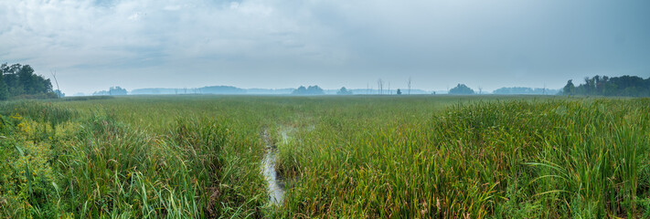 A rainy foggy day on the prairie