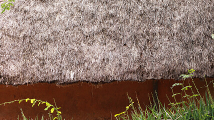 village home roof and clay sand wall and some plant