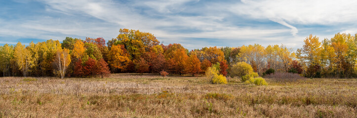 Fall colors over the prairie under blue cloudy skys - obrazy, fototapety, plakaty