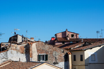 Fototapeta na wymiar Blick auf Dächer der Altstadt von Lucca an einem sonnigen Tag
