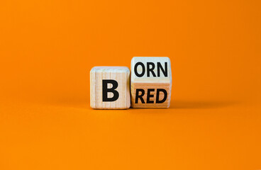 Born or bred symbol. Turned a wooden cube and changed the word 'born' to 'bred'. Beautiful orange background. Born or bred and business concept. Copy space.