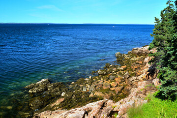 Seaweed and rocks at low tide on Mt Desert island in Maine exposing the pink granite rocks that make up the shoreline