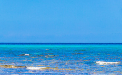 Tropical mexican beach cenote Punta Esmeralda Playa del Carmen Mexico.