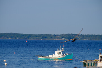 Anchored colorful red white and blue Lobster Boats on a perfect summer day sitting at harbor
