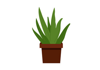 Vector green fresh aloe vera in a pot, natural cosmetics from aloe, medical plants, face and body care, beauty procedures, self-care in flat cartoon  style isolated on white background