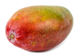 mango on white
