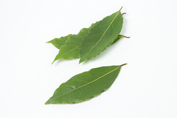 Fototapeta premium Green bay leaf on a white background. Traditional seasoning