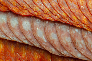 Set of three sliced Spanish sausages, two kind of chorizo and salchichon, cured and dried pork...