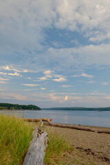Fototapeta na wymiar Washed Drift wood litters the beach on the Penobscot river in Maine