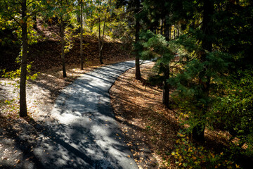 Obraz premium Aerial drone forest landscape, yellow trees and curved road in autumn