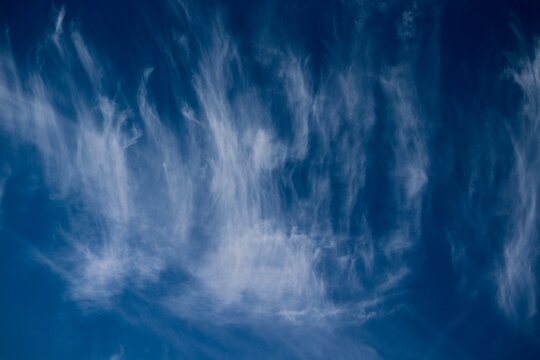 Cirren am blauen Himmel