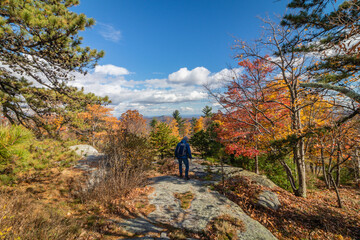 Fototapeta premium Hiking in brilliant fall foliage in the Catskill Mountain Foothills on a brilliant fall day