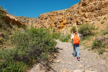 A woman with a backpack walks along a trail in a deserted canyon with red rocks. Hiking path and the dangers of solo trekking - obrazy, fototapety, plakaty