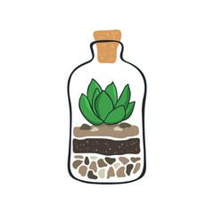 Cactus succulent in a glass bottle. Succulent in terrarium. Regular cacti succulent. Hygge lifestyle vector collection.