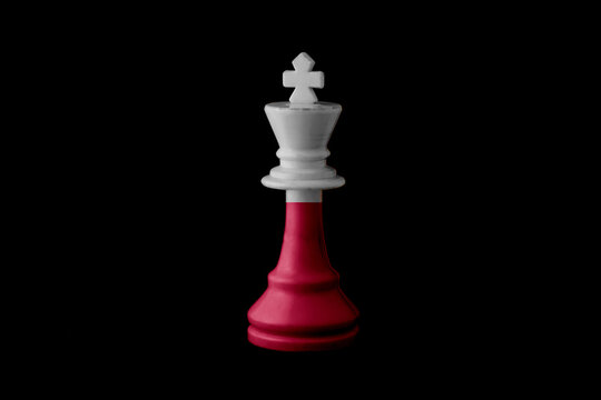 poland flags paint over on chess king. 3D illustration.