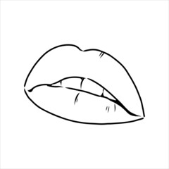 Sexy plump lips kiss pink watercolor and line art, Hand drawn vector illustration isolated
