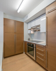 Modern kitchen in luxury house.