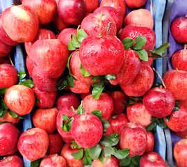 Red apple selling in fruits market, Healthy food, organic fruit, street vendors kolkata