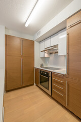 Modern kitchen in luxury house.