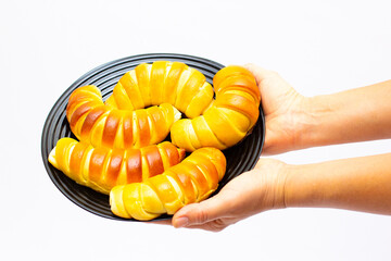 Hand holding a pie or bagel . white background