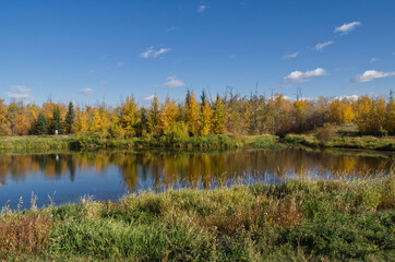 Fototapeta na wymiar Pylypow Wetlands on a Sunny Autumn Day