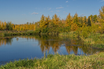 Fototapeta na wymiar Autumn Forest with a Calm Pond