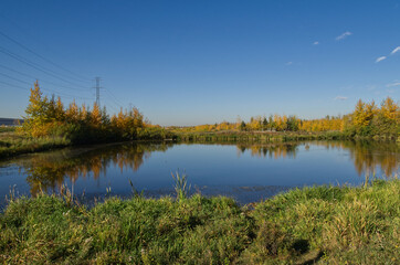 Pylypow Wetlands on a Sunny Autumn Day