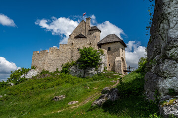 Krajobraz, zwierzęta © Krzysztof