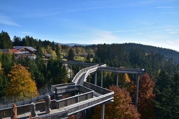 Baumwipfelpfad Treetop paths St. Engelmar 