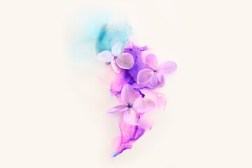 Creative image of pink and purple Hydrangea flowers on artistic ink background. Top view with copy...